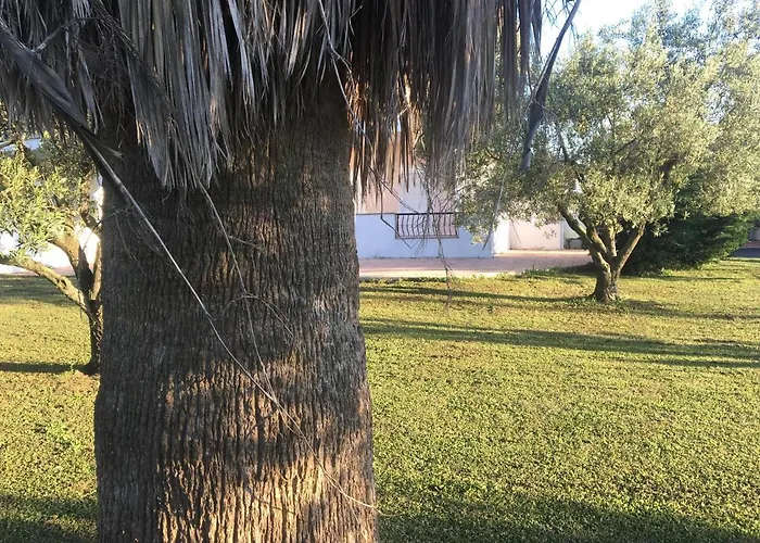 Apartman Alba Mare *