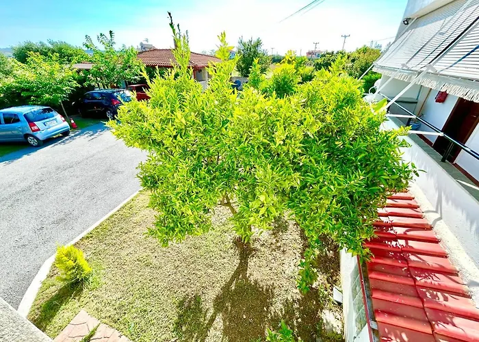 Alba Mare Apartman *