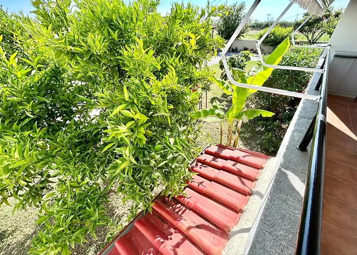 Alba Mare * Áfitosz