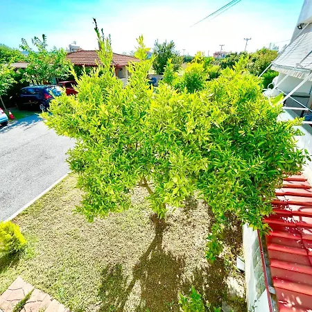 Alba Mare Apartament *